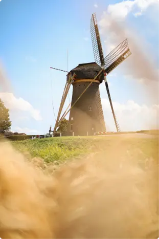 Molen-Landzigt-2-3.webp
